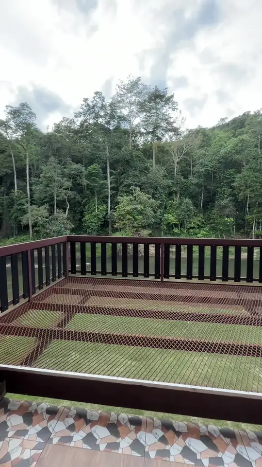 Dek kayu menghadap hutan hijau